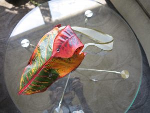 floral design classes lessons school designing large-scale floral decorations chandeliers flower walls ceilings wedding bouquets boutonnieres corsages wedding ceremony table centerpieces funeral arrangements