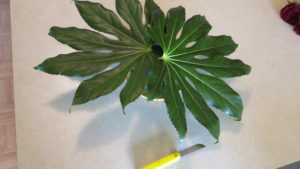 tropical-flower-arrangement