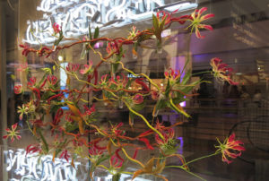 fleurs-de-n-villes-show