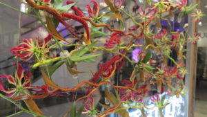 fleurs-de-villes-show