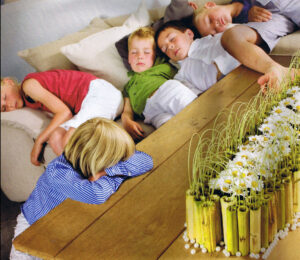 arranging flowers party workshop